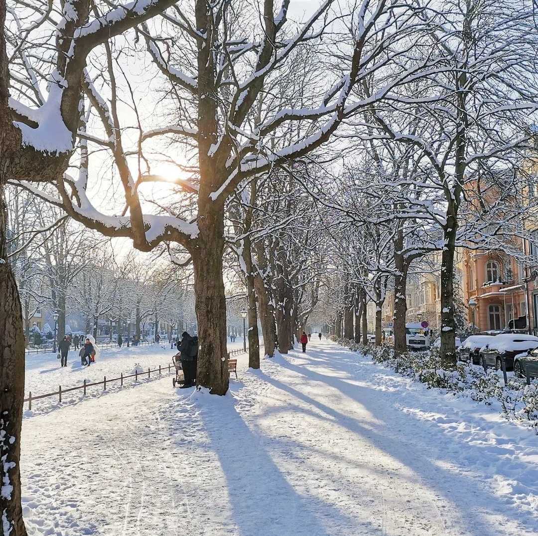 Winter view of Bonn